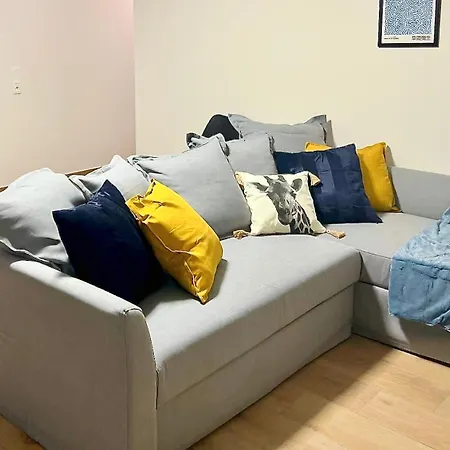 Grand Neuf Lumineux, Parking Gratuit, 10 Min Centre * Strasbourg